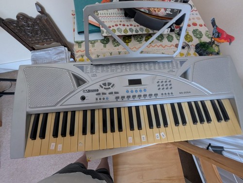 Dgital keybord organ - keybord,